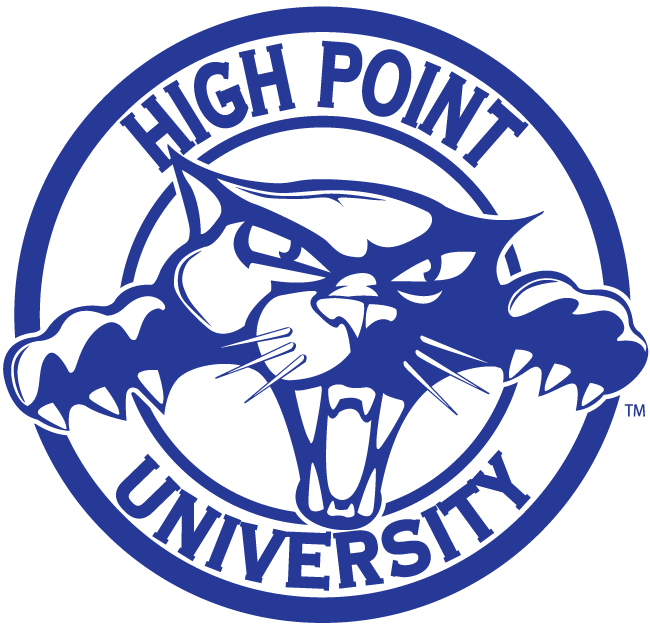 High Point Panthers 2004-2011 Alternate Logo diy fabric transfer